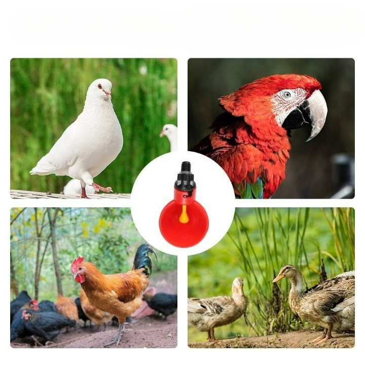 10 db-os baromfi itatótál készlet - Image 3